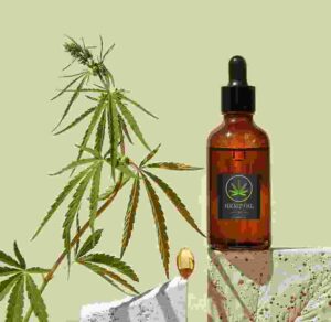 Shop Primary Image Shop Primary Image